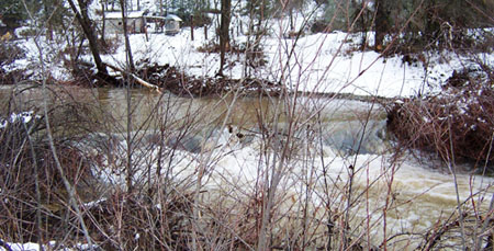 Beaver dam located on Weaver Creek