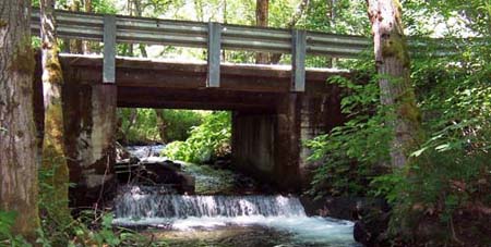 Conner Creek road - box culvert is barrier to fish migration