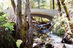 Conner Creek at Conner Creek Road - new bridge accomodates fish migration and storm flow
