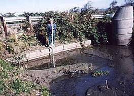 Sediment buildup at culvert is evident