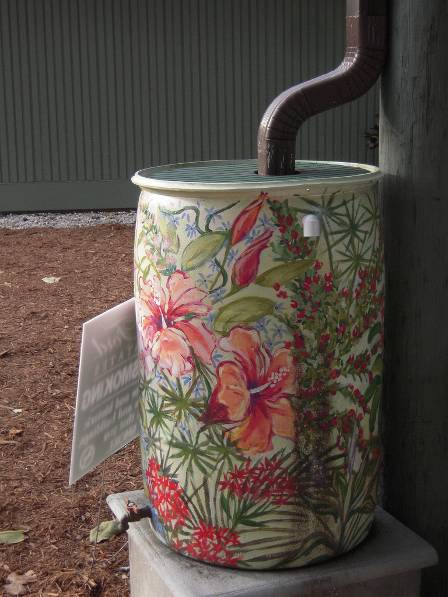 rainbarrel