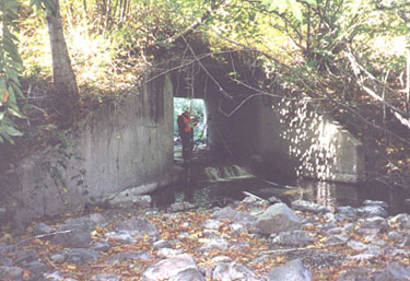 Indian Creek-Mattole Road crossing, box culvert creates fish barrier