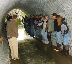 Workshop attendees view Johnson Ck crossing in 2006