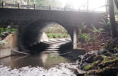 Peacock Creek crossing improved with fish weir and capacity for increased volume