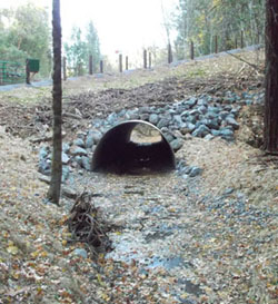 Recently completed culvert at Ryan Creek accomodates fish and high storm flows