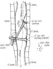 Sample of design for Large Woody Debris Placement