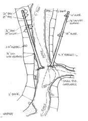 Sample of design for placement of large woody debris to provide fish cover