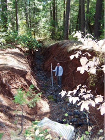Old mining ditch on Schofield gulch displays deep crevasse caused by erosion-the eroded material was washed into the creek.