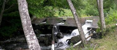 Dam creates formidable fish barrier