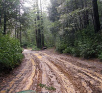 Poor road drainage creates impassable bogs and heavy loads of sediment in creeks