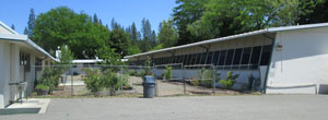 Captured rainwater will be used on the school garden