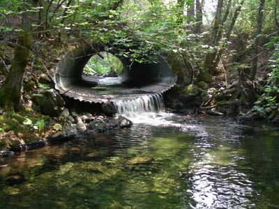 Culvert barrier removed to aid fish migration